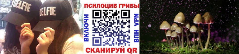 Псилоцибиновые грибы Psilocybine cubensis  Шенкурск 